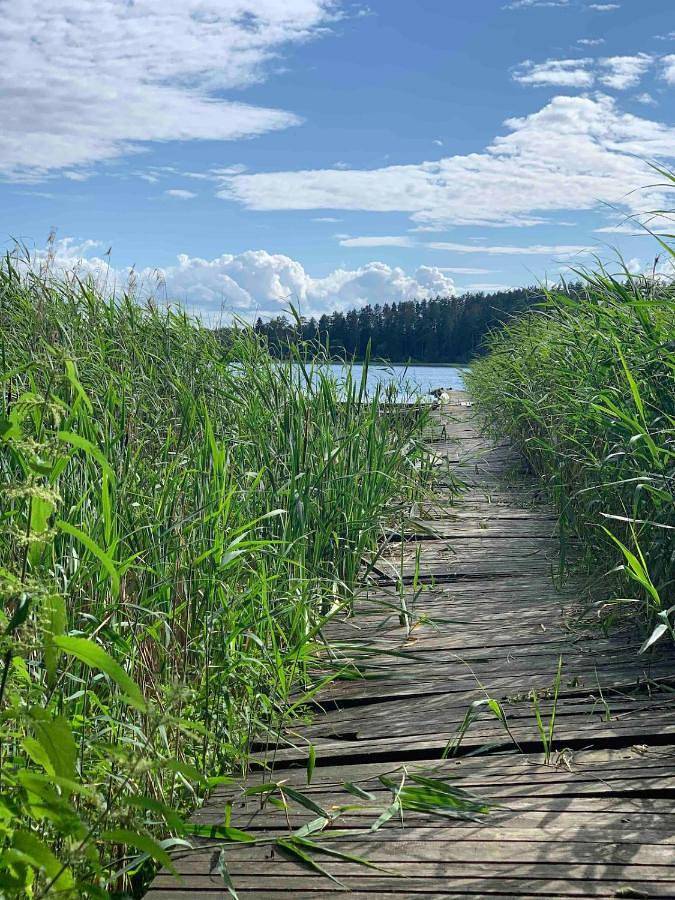Sidorówka nad Wigrami in Podlasie
