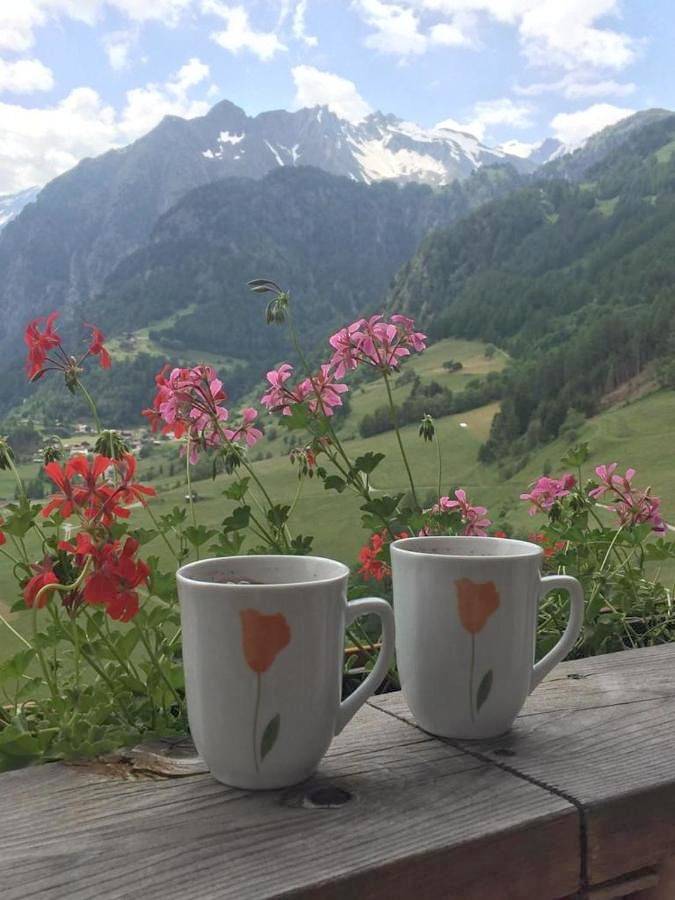 Ferienwohnung für 2 Personen, mit Sauna und Garten sowie Ausblick, mit Haustier in Prägraten am Großvenediger - 4