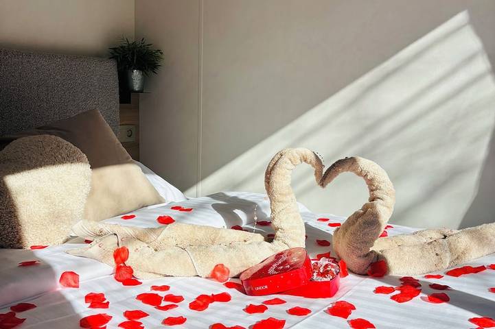 Location de vacances pour 2 personnes, avec jacuzzi et jardin dans Saliers