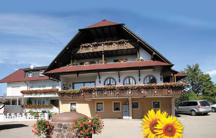 Pension, mit Balkon/Terrasse und Terrasse sowie Garten in Freiamt - 2