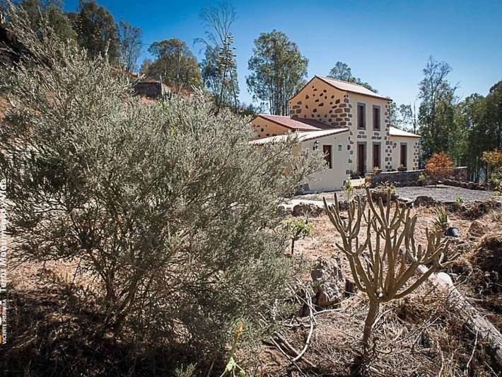 Casa rural para 5 personas, con terraza y jardín, Se admiten mascotas en Teror - 3