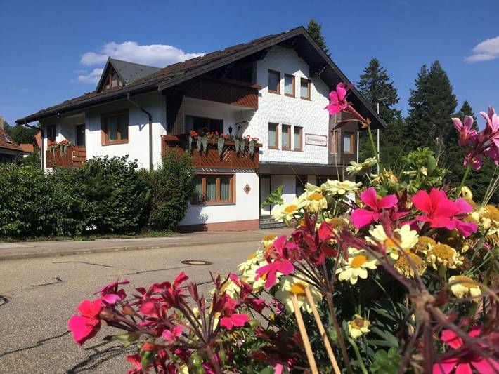 Ganzes Studio, Einzimmerapartment 'Ferienwohnung B, 30 Qm' mit gemeinsamer Terrasse, gemeinsamem Garten und Wlan in Kniebis, Freudenstadt