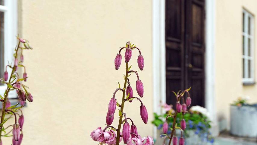 Ferienhaus für 12 Personen, mit Garten in Södermanland - 2