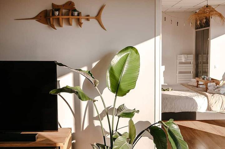 Location de vacances pour 6 personnes, avec jardin et jacuzzi à Plouider - 2