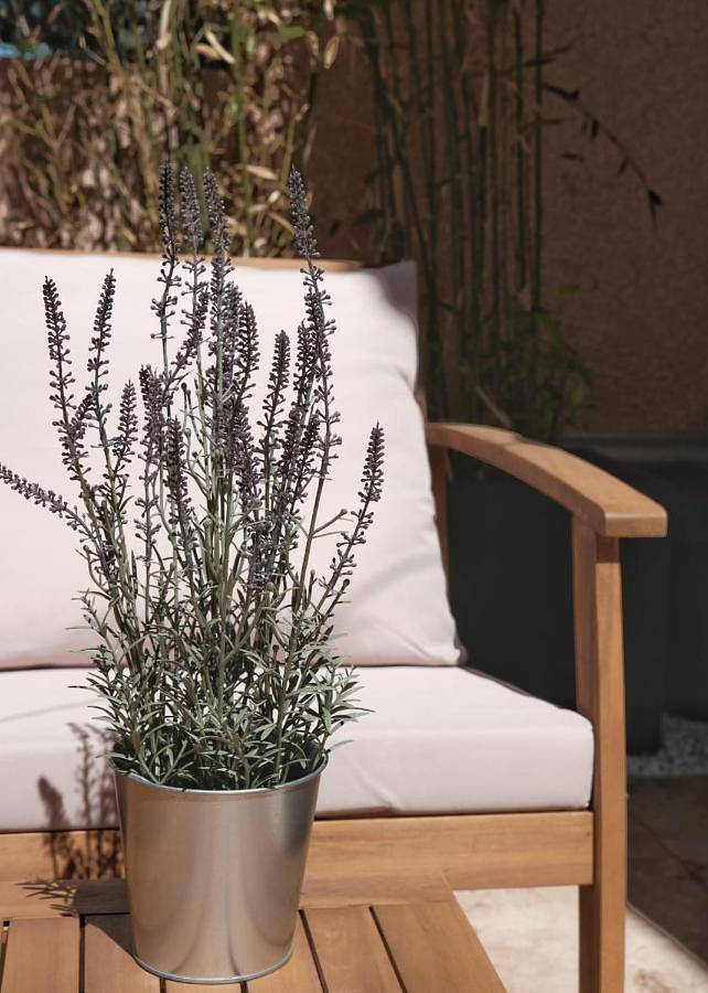 Gîte pour 2 personnes, avec terrasse dans Les Milles - 3