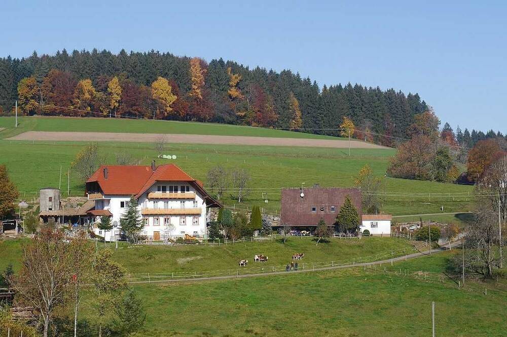 Apartamento 90m², 3 quartos, max. 8 pers. , 1 - 8 pessoas - Dischhof in Biederbach, Floresta Negra do Sul