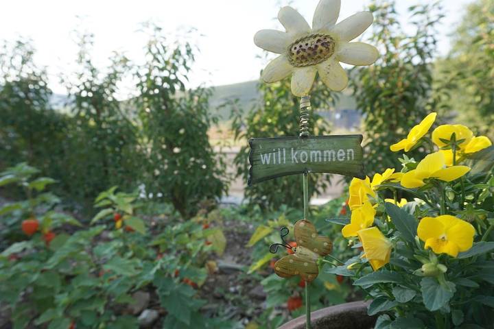 Ferienwohnung für 2 Personen, mit Garten in Brauneberg