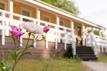 Camping für 4 Personen in Hohenkirchen, Ostsee, Bild 3