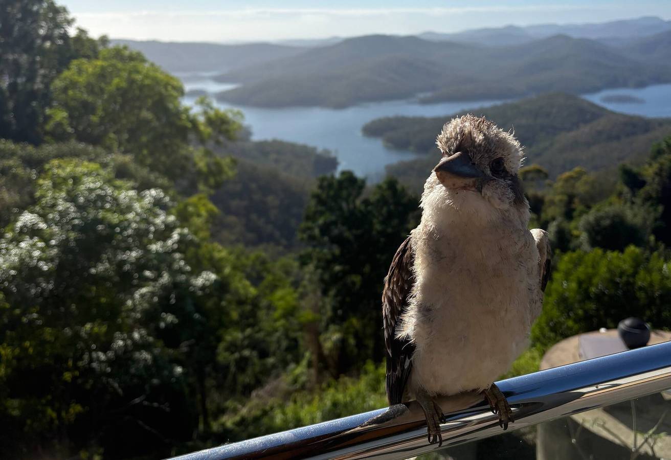 Rodeado de naturaleza con vistas panorámicas a las montañas in Queensland