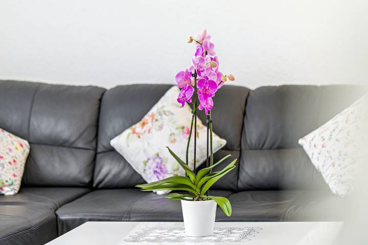 Entire apartment, Apartment "Dußlingen" with Private Terrace & Wi-Fi in Dußlingen, Neckar-Alb