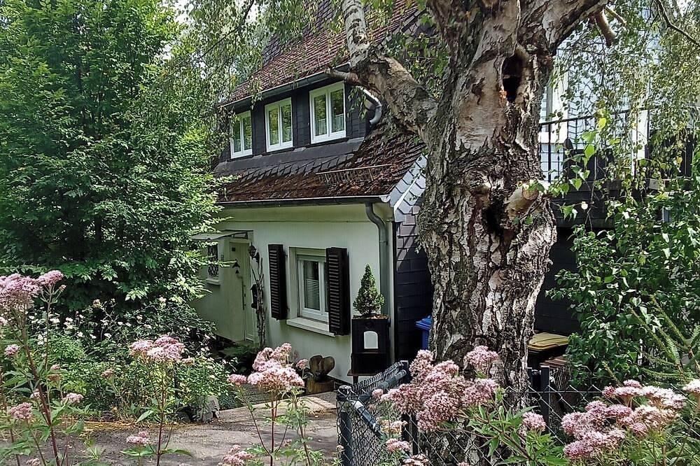 Ferienhaus Fuchs&Hase; für alle, die Ruhe und Privatsphäre in der Natur suchen in Hamm (Rheinland-Pfalz), Altenkirchen & Umgebung