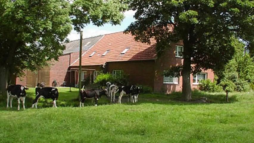 Ferienwohnung für 4 Personen, mit Garten in Holtgast - 2
