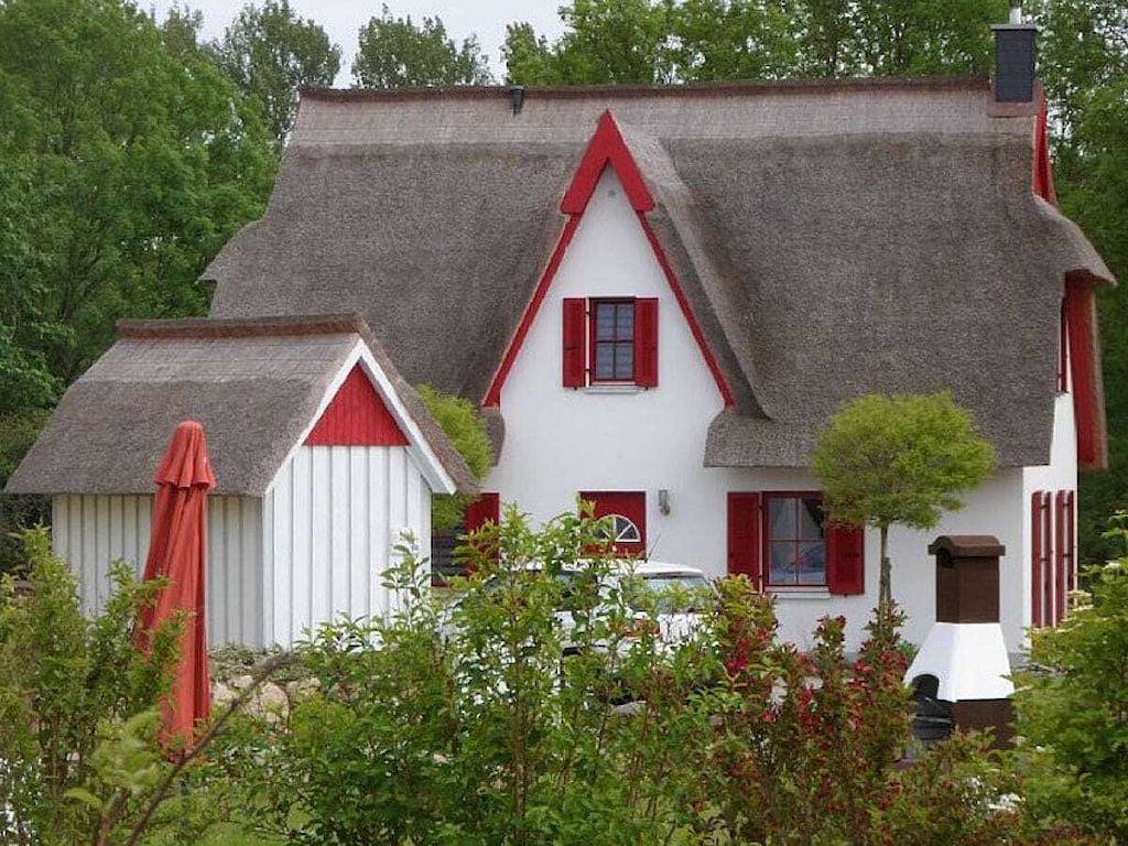Klatschmohn auf Rügen in Glowe, Rügen