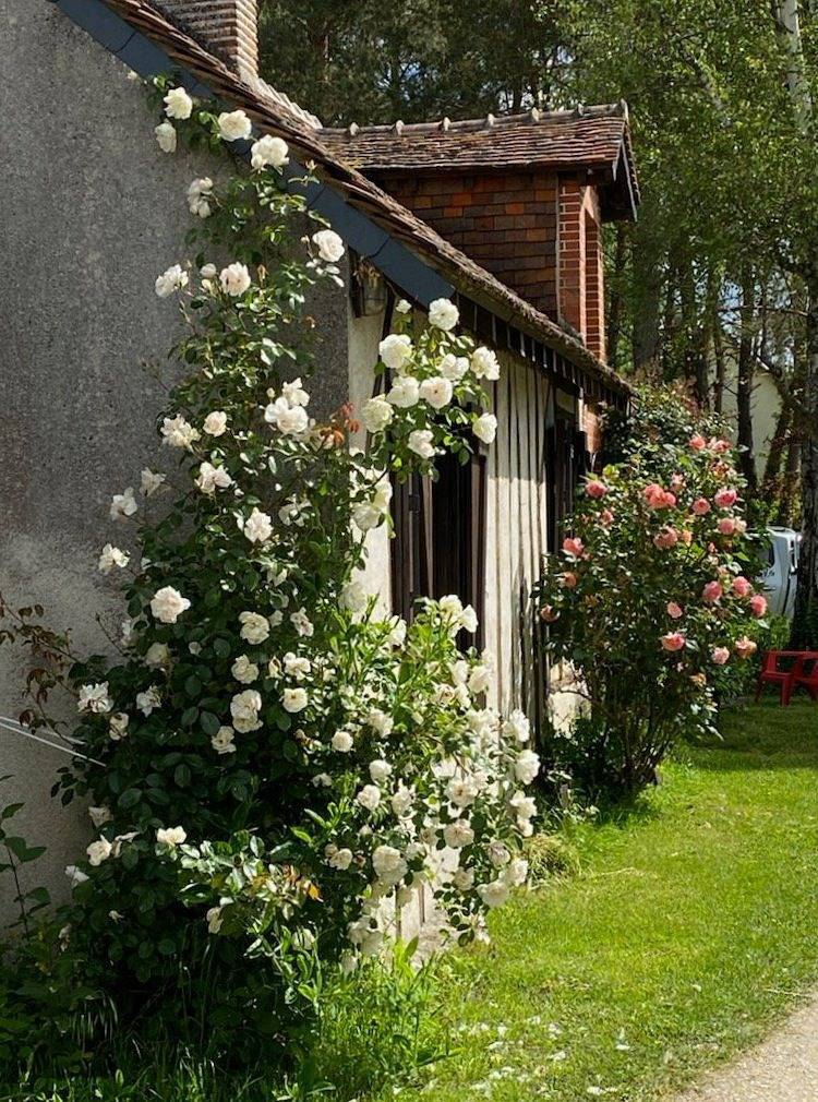 Joli gîte dans maison à colombage in Bracieux, Sologne