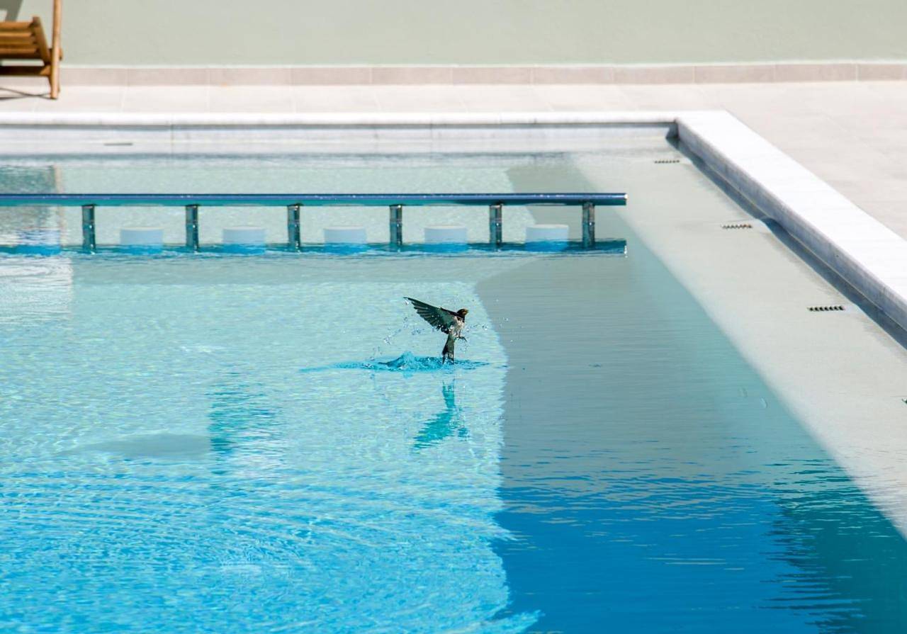 Incognito Creta Luxury Suites and More in Kamisiana, Kolymvari