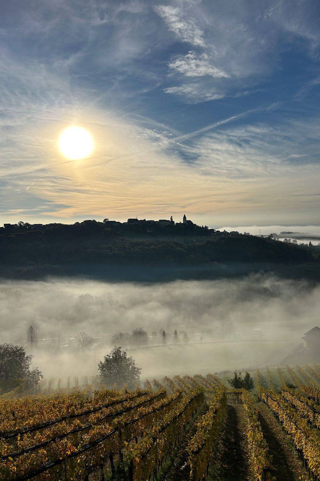 Rebenchalet in Südoststeiermark, Sankt Anna am Aigen