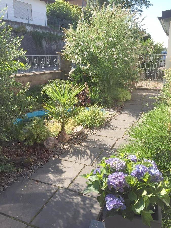 Ferienwohnung für 4 Personen, mit Terrasse und Garten sowie Ausblick in Mahlberg - 3
