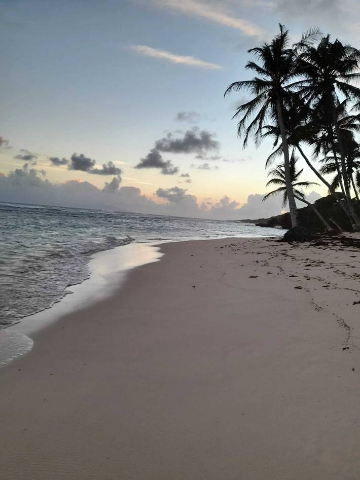Gîte pour 2 personnes dans Marie-Galante - 4