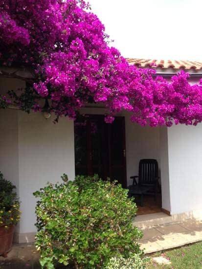 Villa per 5 persone, con giardino e panorama a Monticelli