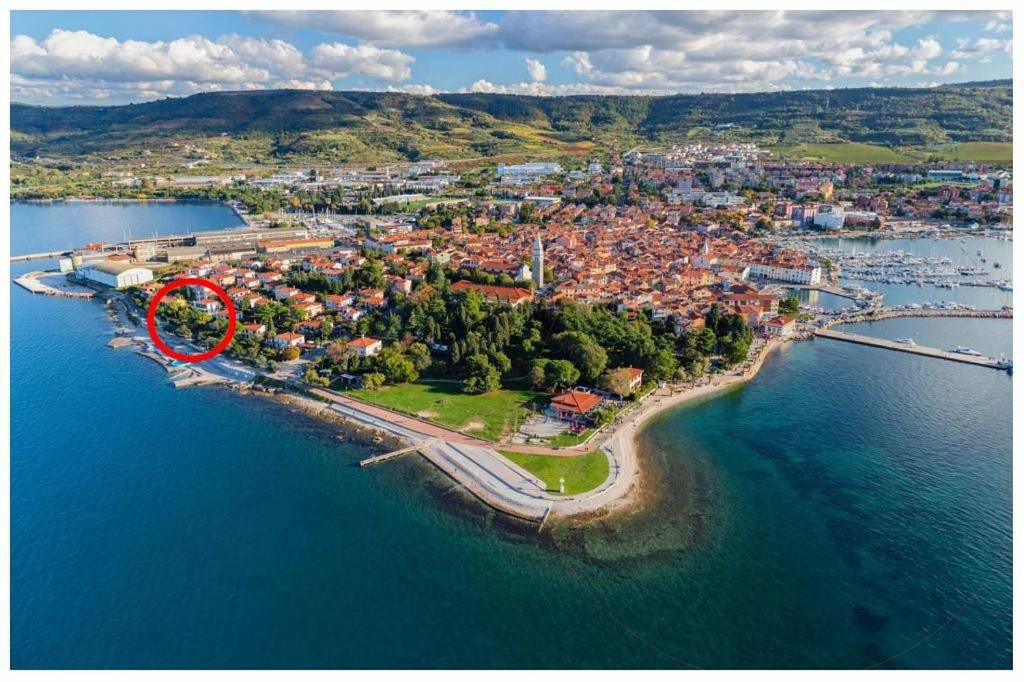 Premium apartment Natura in Izola, Slovene Riviera