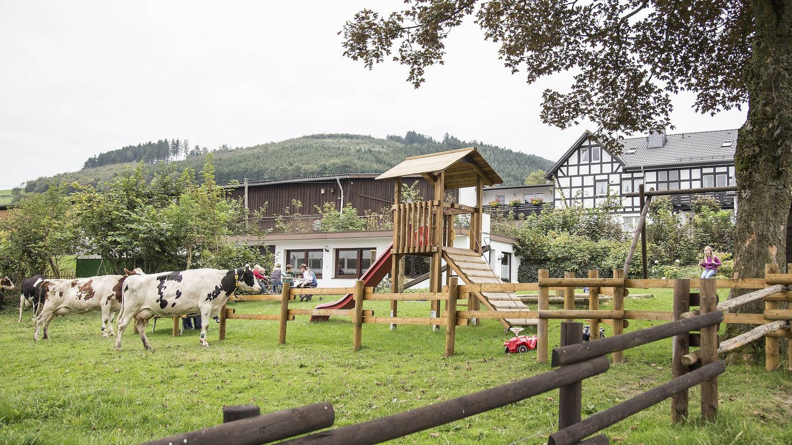 Ganze Wohnung, Appartement (Fuchsbau, 30qm) mit privater Terrasse und Wi-Fi in Schmallenberg, Hochsauerlandkreis