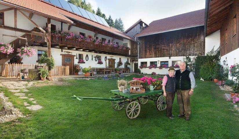 Ferienwohnung für 4 Personen, mit Balkon/Terrasse und Balkon sowie Terrasse und Garten in Landkreis Freyung-Grafenau