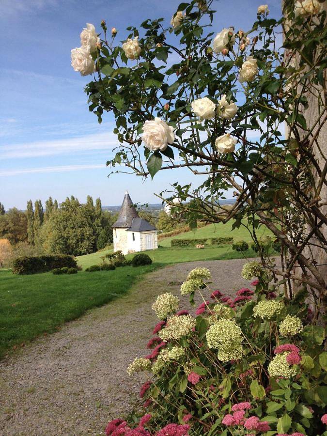 Location de vacances pour 4 personnes, avec piscine ainsi que jardin et vue à Blaison-Gohier - 4