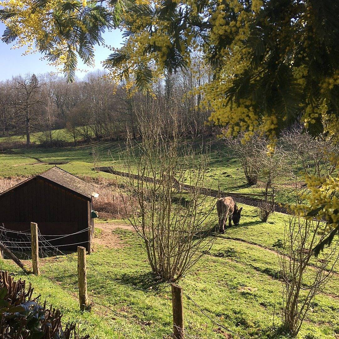 Maison d'hôtes Les Terrasses de Chantarel - Chambre La Vigie in Rouillon, Sarthe