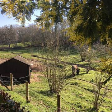 Chambre d’hôte pour 3 personnes, avec jardin à Rouillon