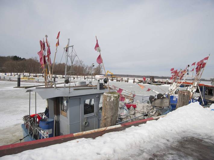 Ferienwohnung für 7 Personen, mit Garten, kinderfreundlich in Klausdorf - 2