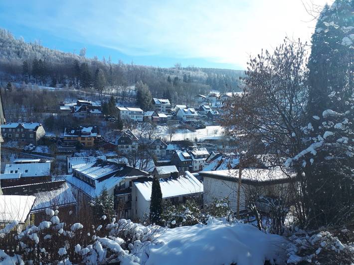 Ganze Wohnung, Ferienwohnung bei Willingen mit eigener Terrasse in Schwalefeld, Willingen