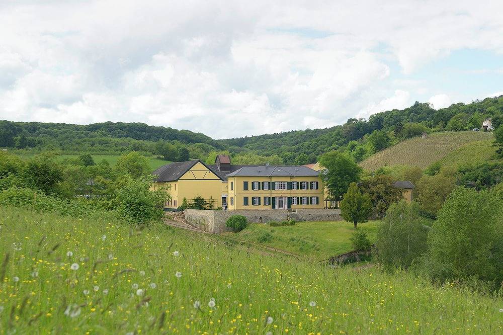 Ganze Wohnung, Moderne Ferienwohnung \"Betty\"\nim Grünen - zwischen Wiesbaden & Rheingau in Wiesbaden, Rheingau