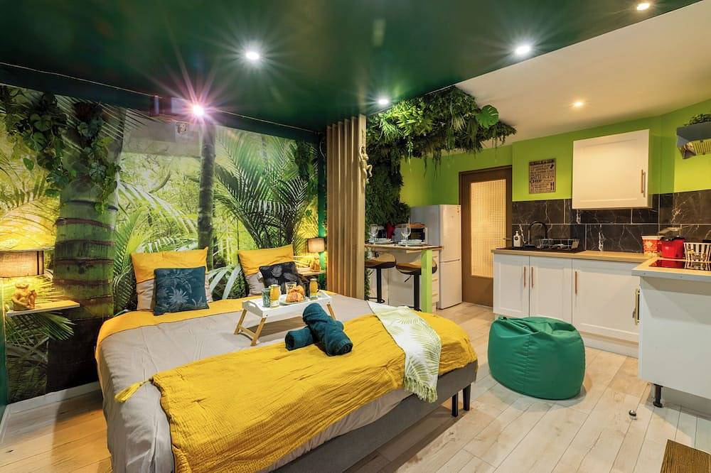 Geheel appartement, Cap Jungle*Cinéma Immersif with video projector in Limoux, Limoux en omgeving