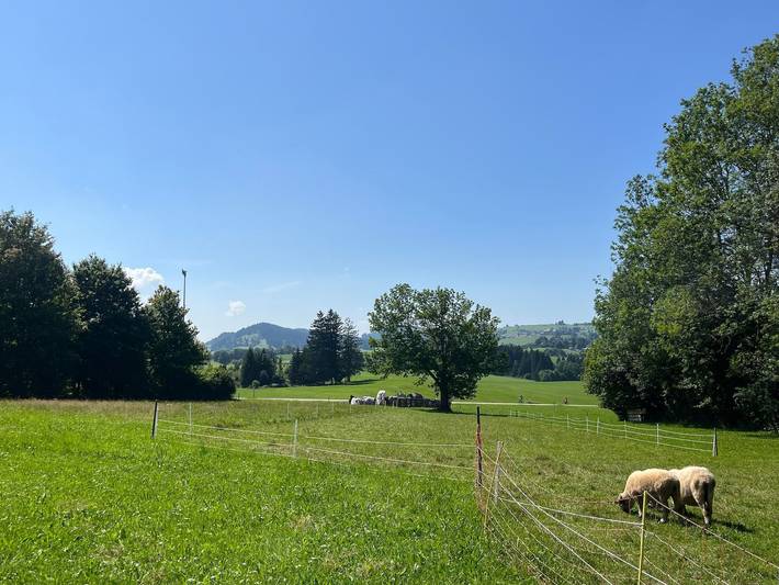 Ferienwohnung für 4 Personen, mit Garten und Terrasse in Oy-Mittelberg - 2