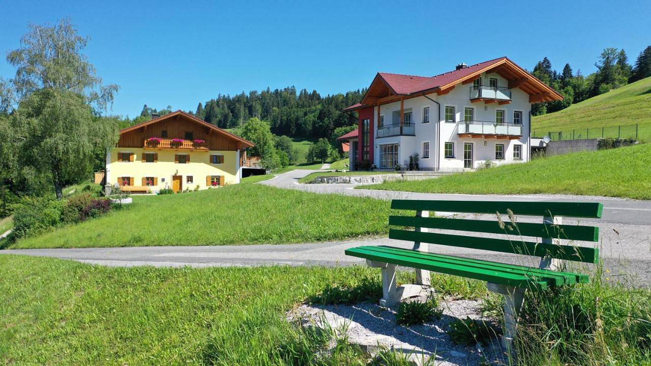 Ganze Wohnung, Apartment with Terrace in St. Koloman, Tennengau