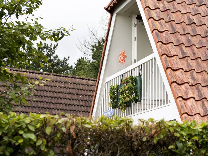 Vakantiehuis voor 6 personen, with terras and tuin as well as kinderzwembad, met huisdier in Vlagtwedde