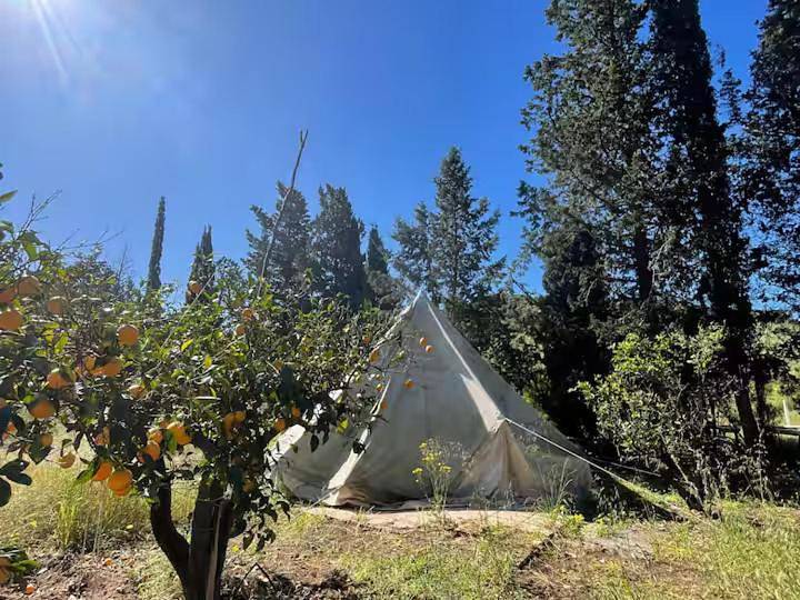 In Our Garden Sardinia - Orange Trees Glamping Tent in Quartu Sant'Elena, Cagliari e Dintorni