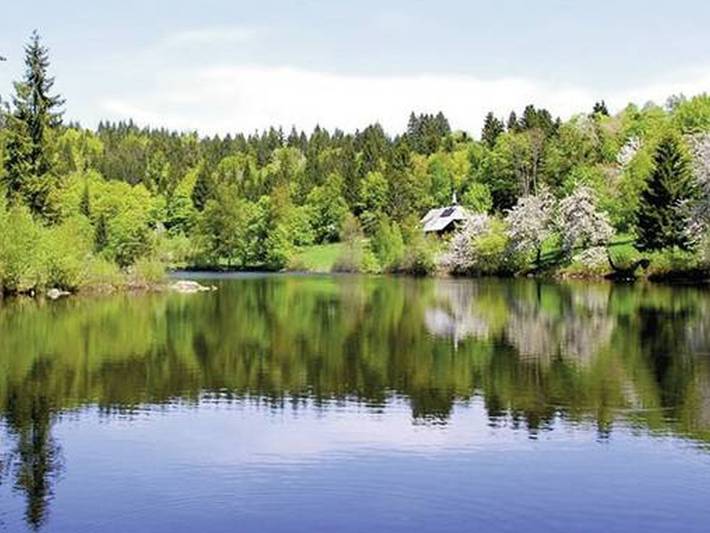 Landgasthof Klosterweiherhof - Einzelzimmer mit Dusche und Wc in Dachsberg, Südschwarzwald