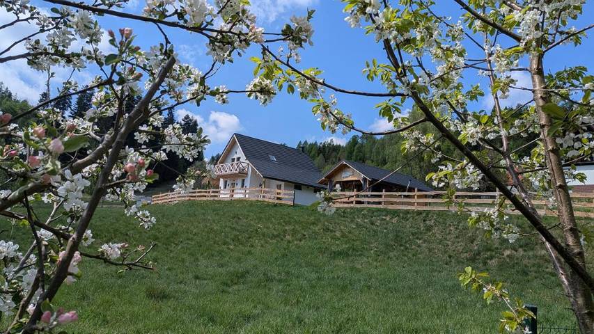 Dom dla 12 osób, z sauna i widok oraz ogród, zwierzęta dozwolone w Kamesznica