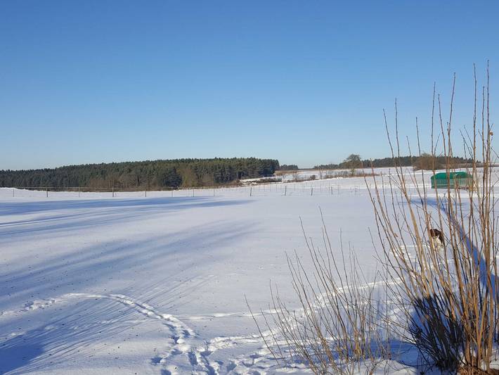 Ferienwohnung für 4 Personen, mit Ausblick und Garten sowie Balkon und Sauna, kinderfreundlich in Waischenfeld