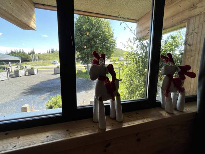 Gîte pour 15 personnes à Albepierre-Bredons - 4