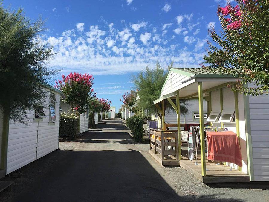 Camping Les Tulipes - Chalet 6 personnes - Grand Chalet in L'Aiguillon-la-Presqu'île, Vendée