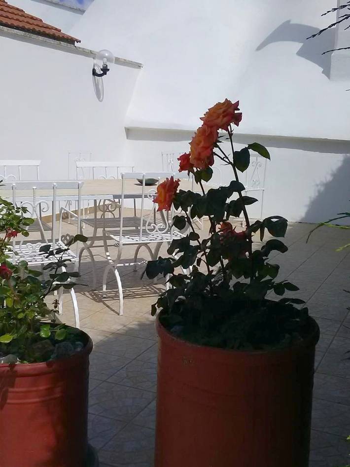 Gîte pour 2 personnes, avec Terrasse et Jardin à Noci - 4
