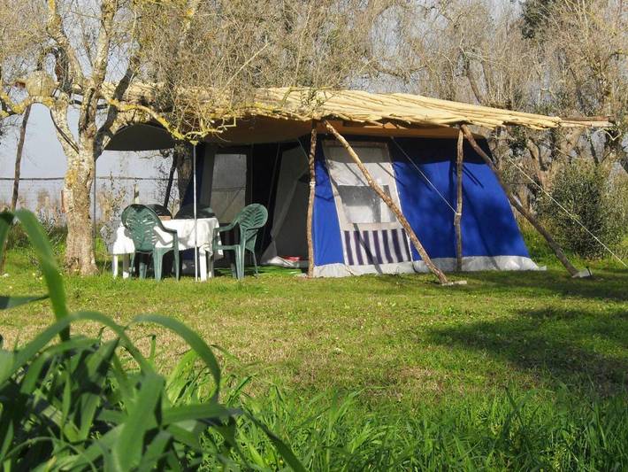 Camping für 4 Personen, mit Pool und Ausblick sowie Terrasse und Garten, mit Haustier im Salento - 3