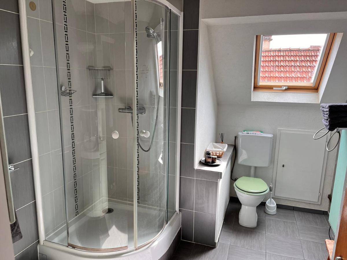 Double Room with Private Bathroom in Hœrdt, Région de Strasbourg