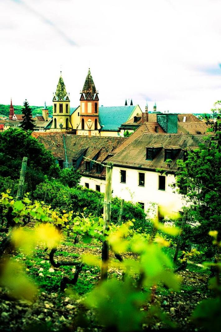Hostel für 6 Personen, mit Terrasse in Würzburg