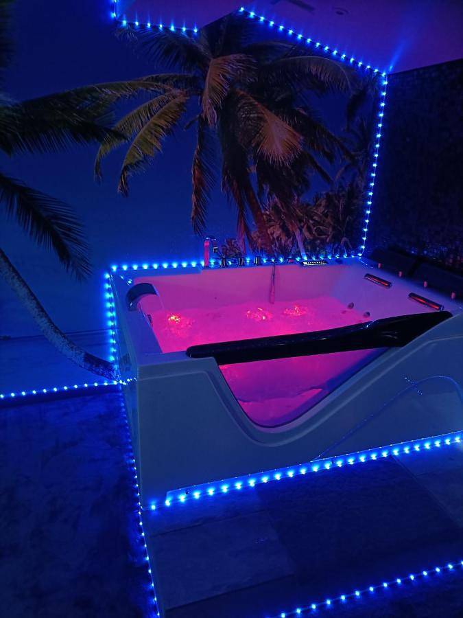 Gîte pour 2 personnes, avec jacuzzi dans Port de Castelnaudary - 3