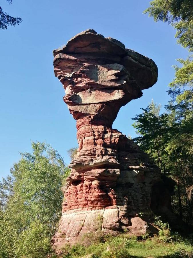 Gîte pour 2 personnes, avec jardin à Lemberg - 4