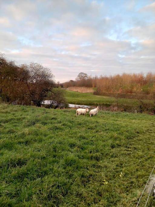 Location de vacances pour 6 personnes, avec vue et jardin, animaux acceptés à Couvains - 3