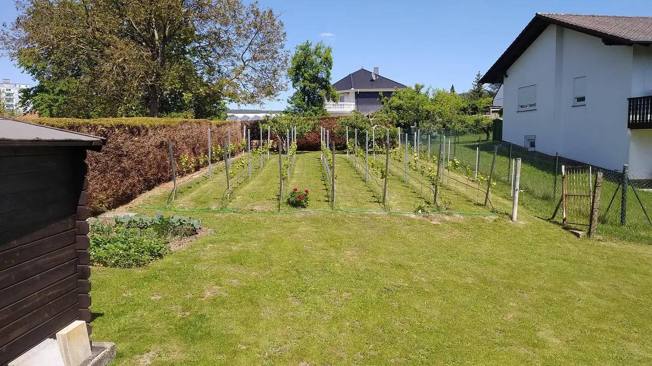 Ganze Ferienwohnung, Ferienwohnung für 2 Personen (52 m²) in Michelstadt in Michelstadt, Main-Odenwald